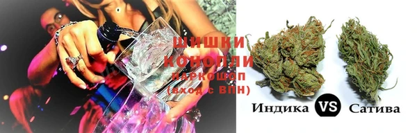 дмт Заводоуковск