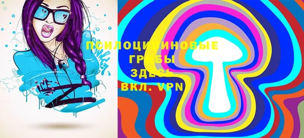 дмт Заводоуковск